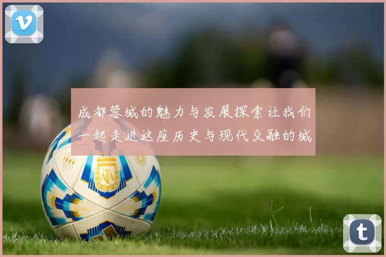 成都蓉城的魅力与发展探索让我们一起走进这座历史与现代交融的城市
