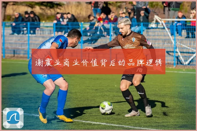 谢震业商业价值背后的品牌逻辑