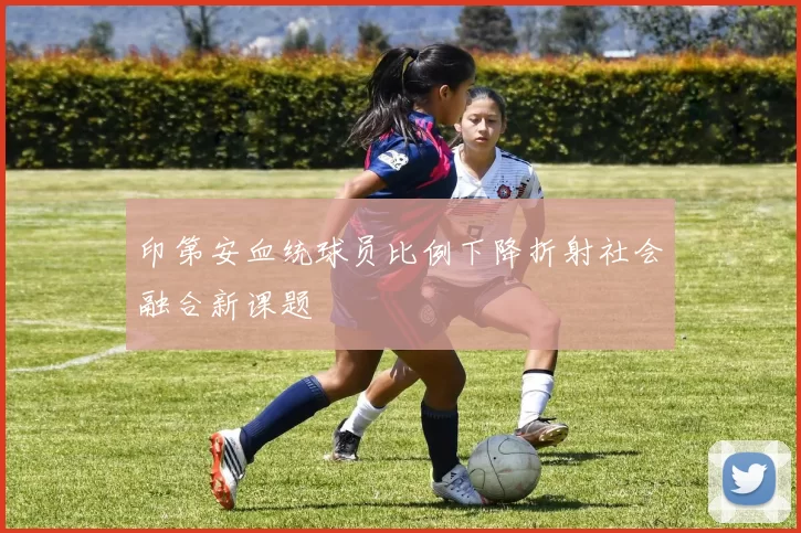 印第安血统球员比例下降折射社会融合新课题